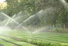 Southbrooklandscaping-water-management-and-drainage-17.jpg; ?>